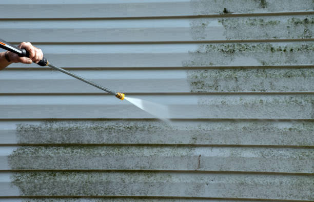 Best Concrete Pressure Washing  in Thomasboro, IL