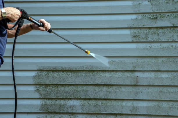 Best Power Washing Near Me  in Thomasboro, IL