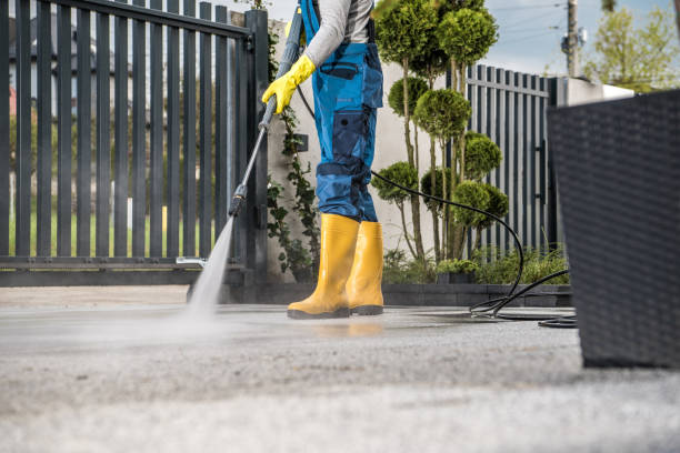 Best Pressure Washing Company Near Me  in Thomasboro, IL