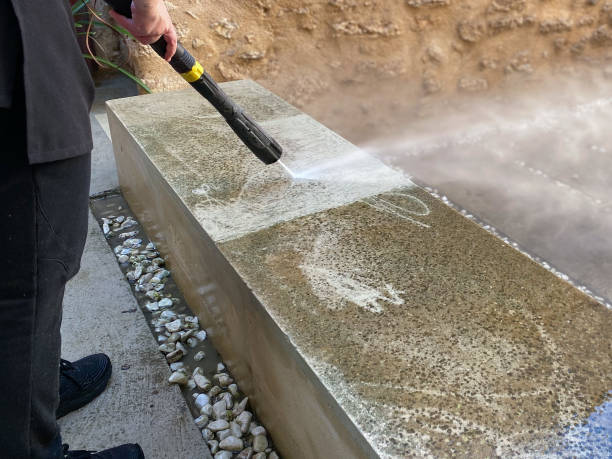 Best Exterior Home Cleaning  in Thomasboro, IL