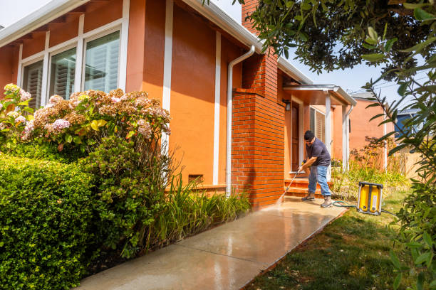 Best Local Pressure Washing Services  in Thomasboro, IL