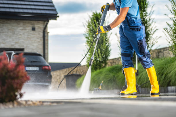 Best Roof Power Washing Services  in Thomasboro, IL
