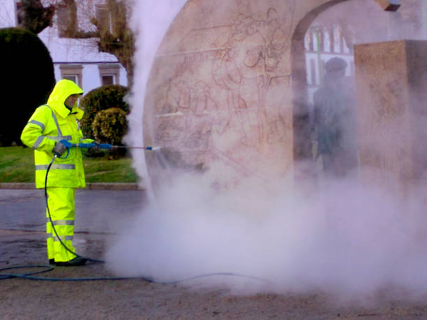 Best Pressure Washing Contractors  in Thomasboro, IL