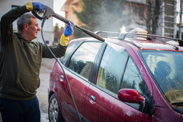 Best Roof Pressure Washing  in Thomasboro, IL